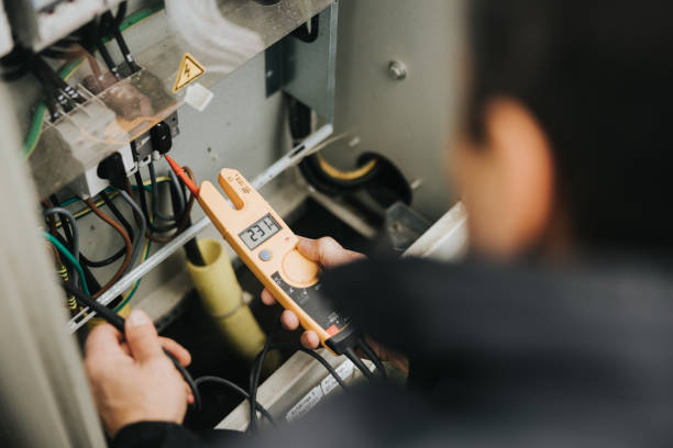 Best Electrician for Home Renovation  in Seyur, MO