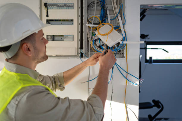 Best Licensed Electrician  in Seyur, MO